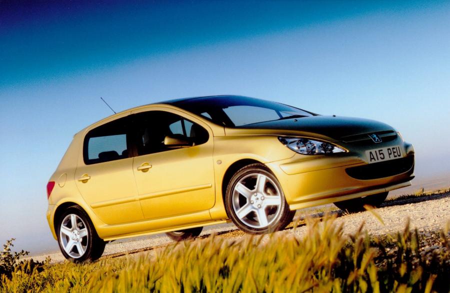  Peugeot 307 2001 года  (фото 31 из 31)